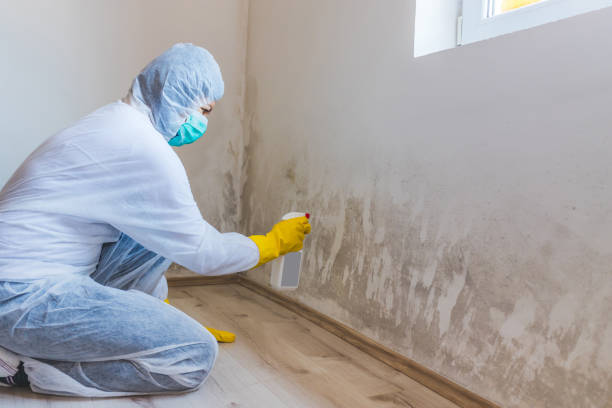 Bathroom Mold Removal assessment in Hines bathroom